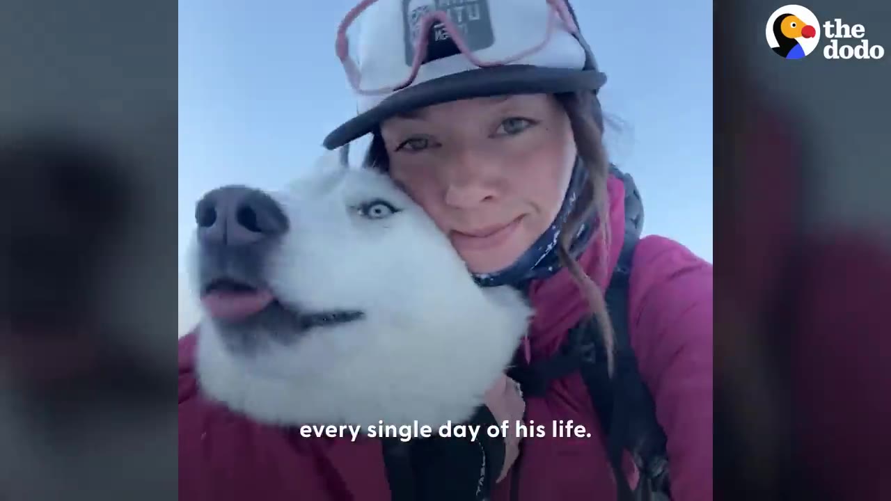 A woman wearing a hat and winter jacket posing for a selfie while hugging a white husky in the snow.