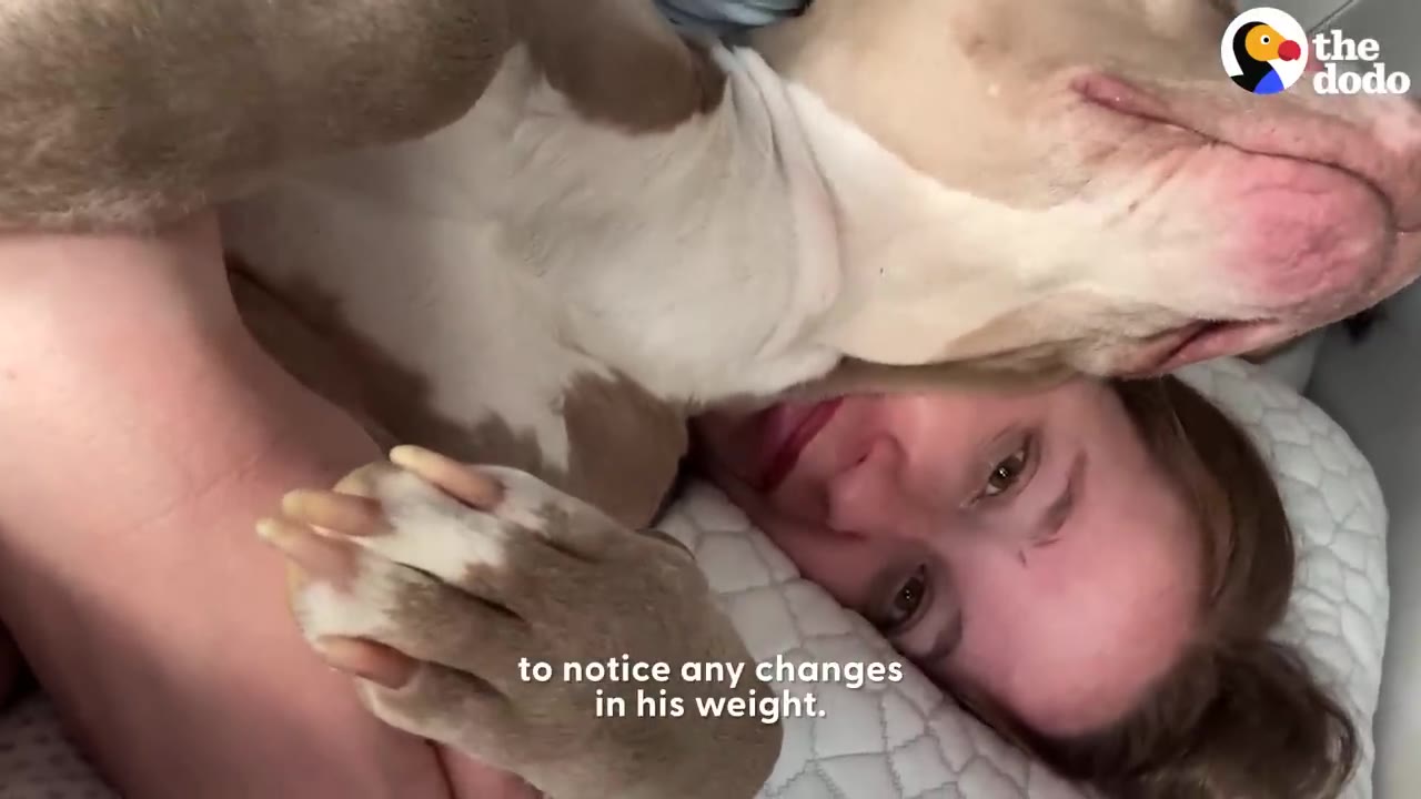 A close-up shot of a light brown and white dog cuddling with a woman lying on a pillow, with the subtitle 'to notice any changes in his weight.'