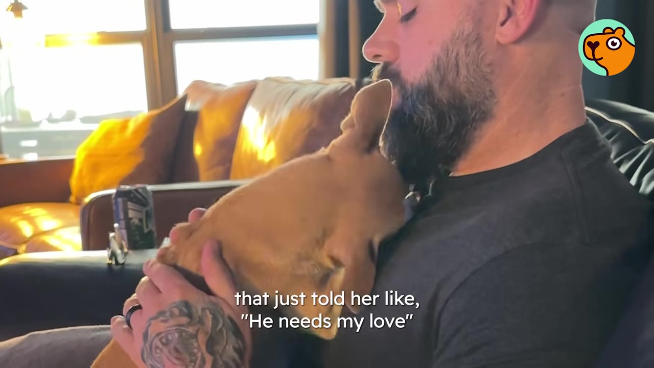 A bearded man holding a small tan dog close to his chest and chin in a warm cuddle.