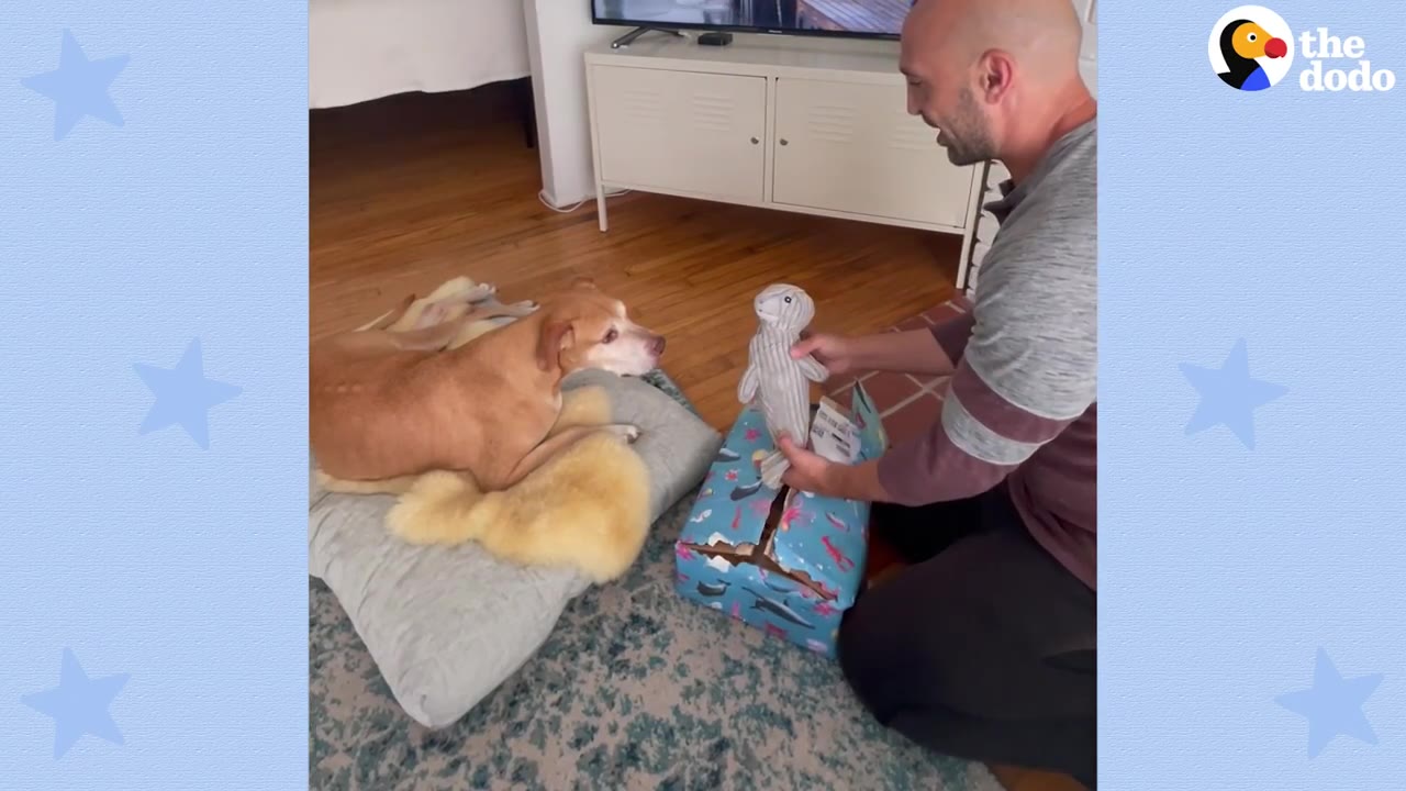 A man kneeling on a rug pulls a plush stuffed animal out of a package while a brown dog rests on a cushion nearby watching him.