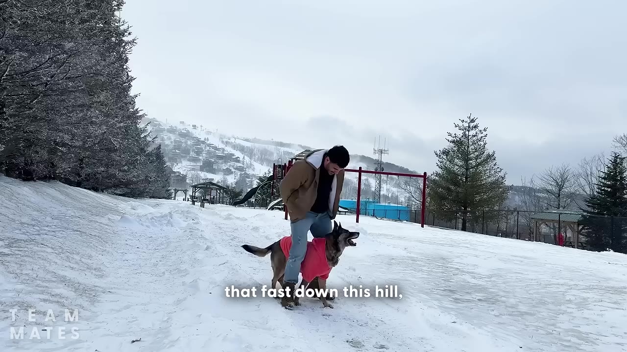 A man in a brown jacket and jeans stands next to a dog wearing a pink sweater on a snowy hill, with a larger ski resort slope visible in the background.
