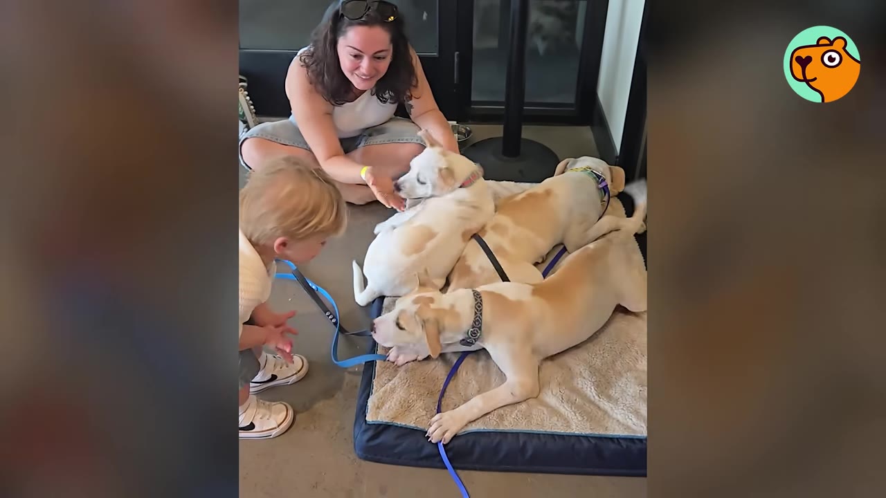 A woman sitting cross-legged on the floor next to a bed filled with light-colored puppies, while a young child interacts with them.
