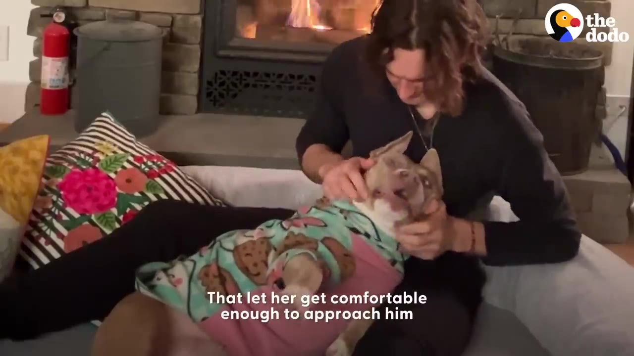 A man sits on the floor near a fireplace, gently petting a dog lying on its back wearing a patterned sweater.