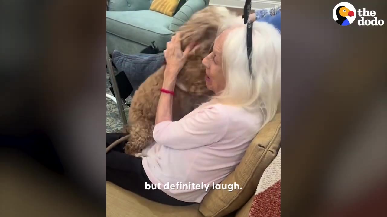 An elderly woman with white hair sitting on a couch, holding and smiling at a small fluffy brown dog in her lap.