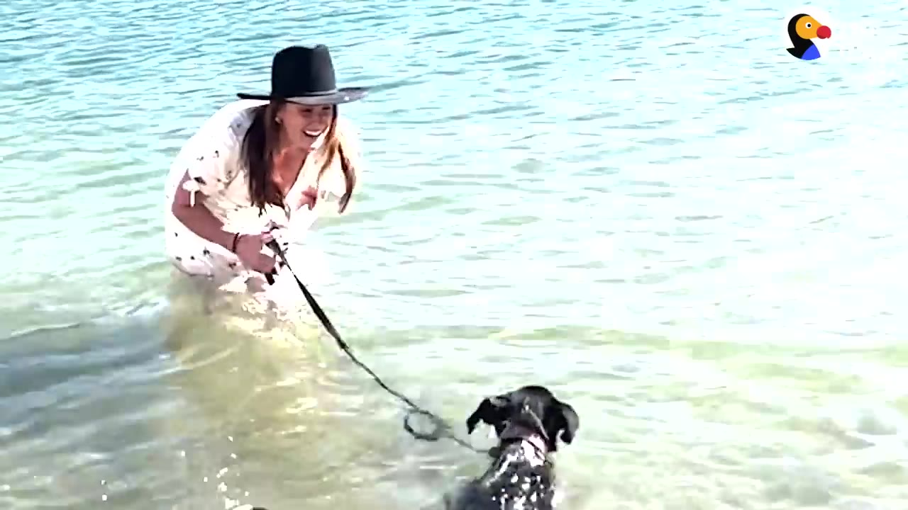 A woman wearing a black hat wades in shallow water while holding a leash attached to a black dog swimming in front of her.