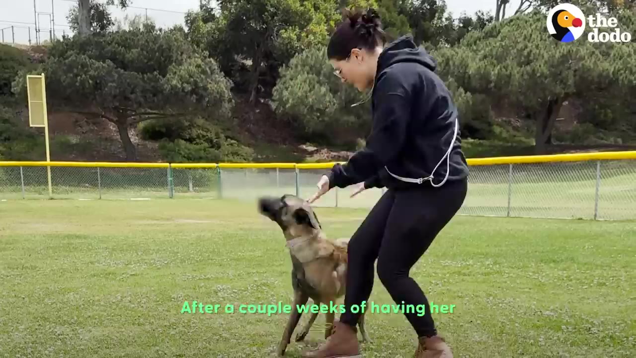 A woman in a black hoodie and leggings pets a tan and black dog on a grassy field with trees in the background.