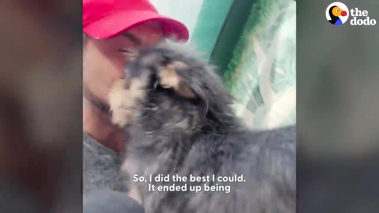 A man wearing a red hat nuzzling a small fluffy black and tan puppy close to his face.