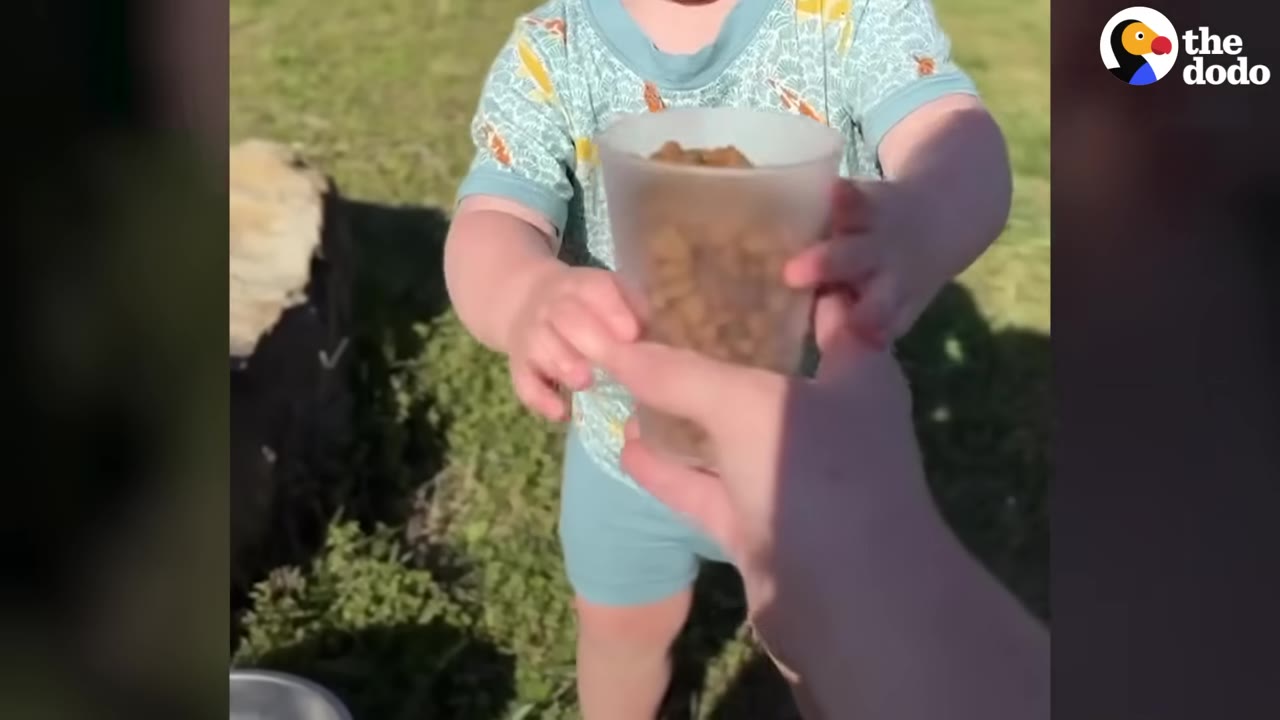 A young toddler outdoors holding out a plastic cup filled with dry pet kibble.