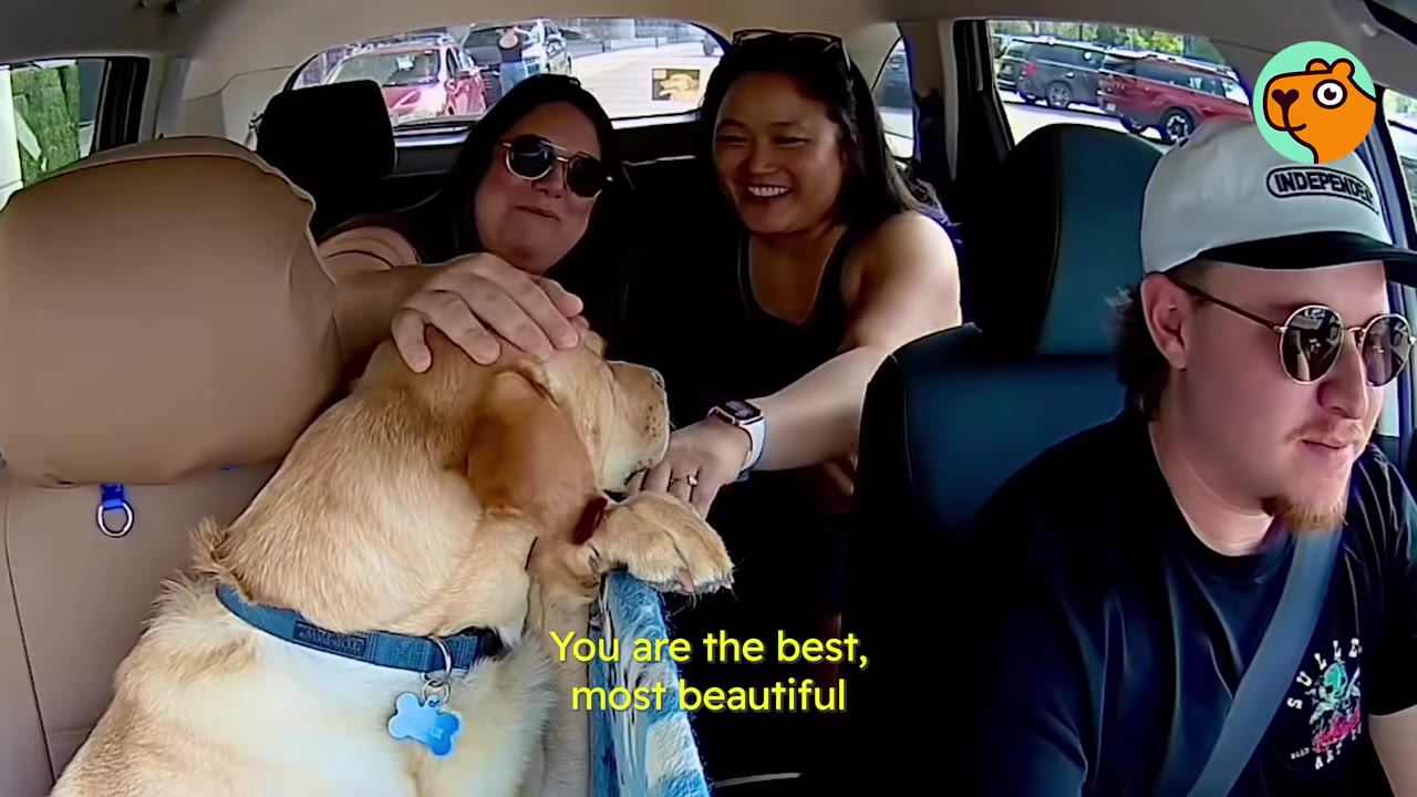 Two smiling passengers in the backseat of a car petting a golden dog resting its head over the seat divider.