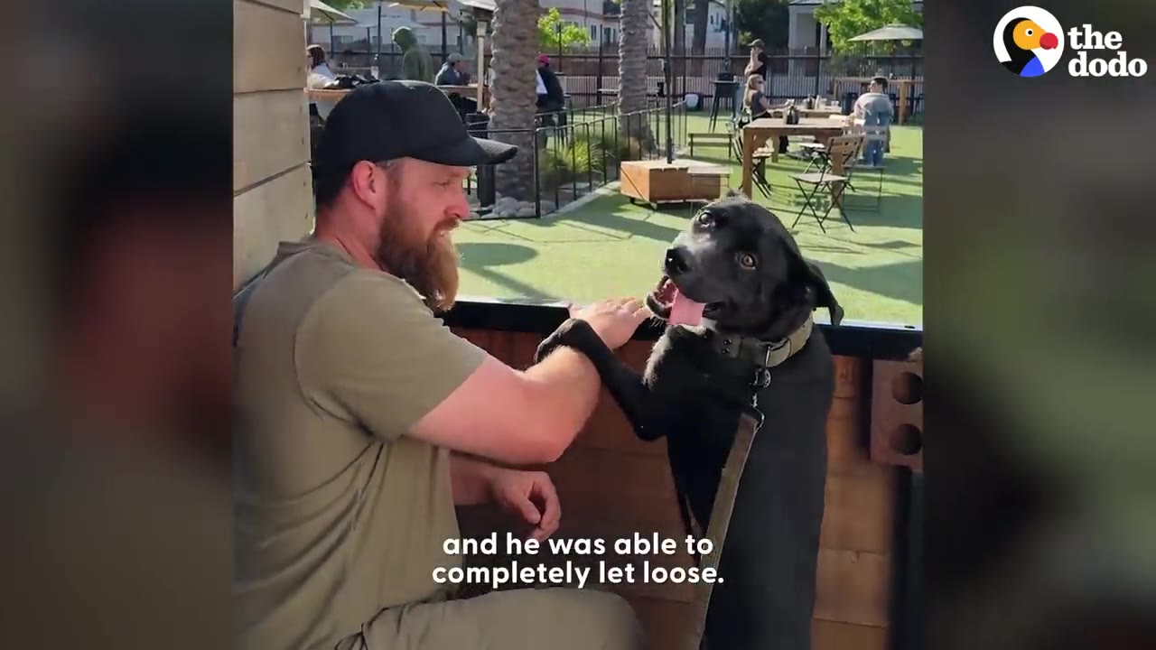 A happy black dog standing on its hind legs rests its paw on a bearded man's arm at an outdoor dog park.