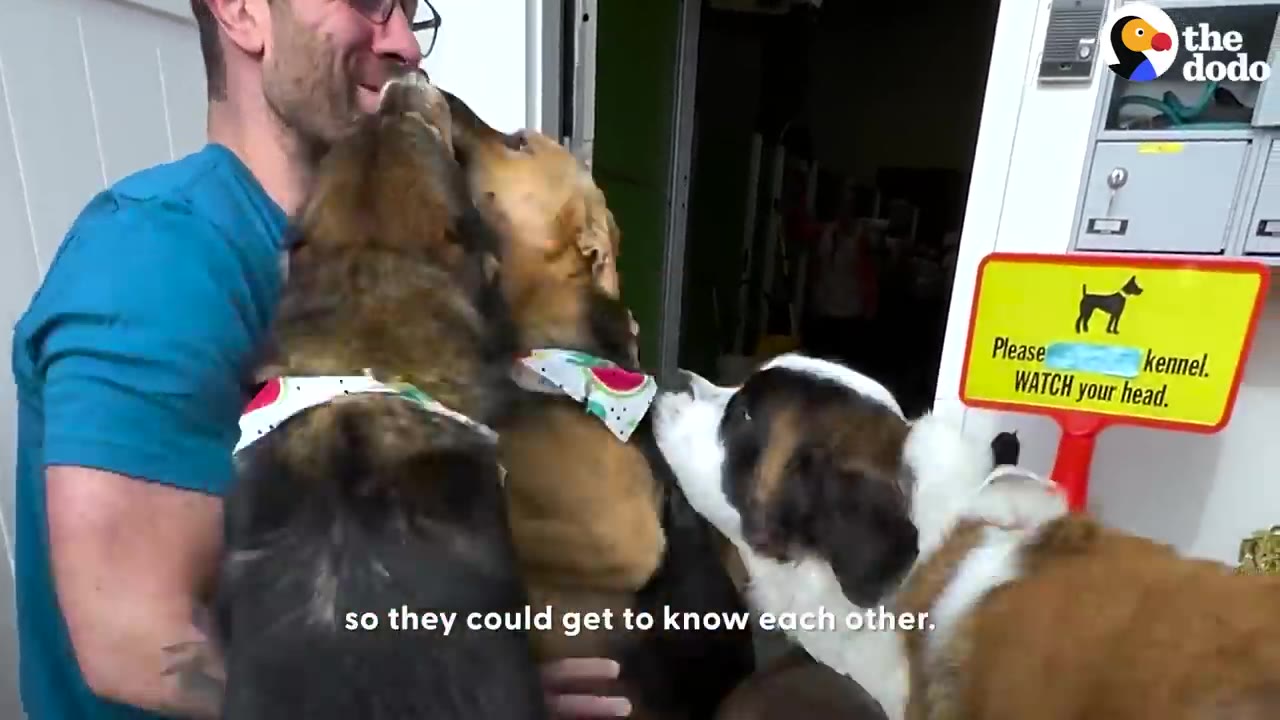 A man holds multiple dogs close together at a doorway inside a facility.