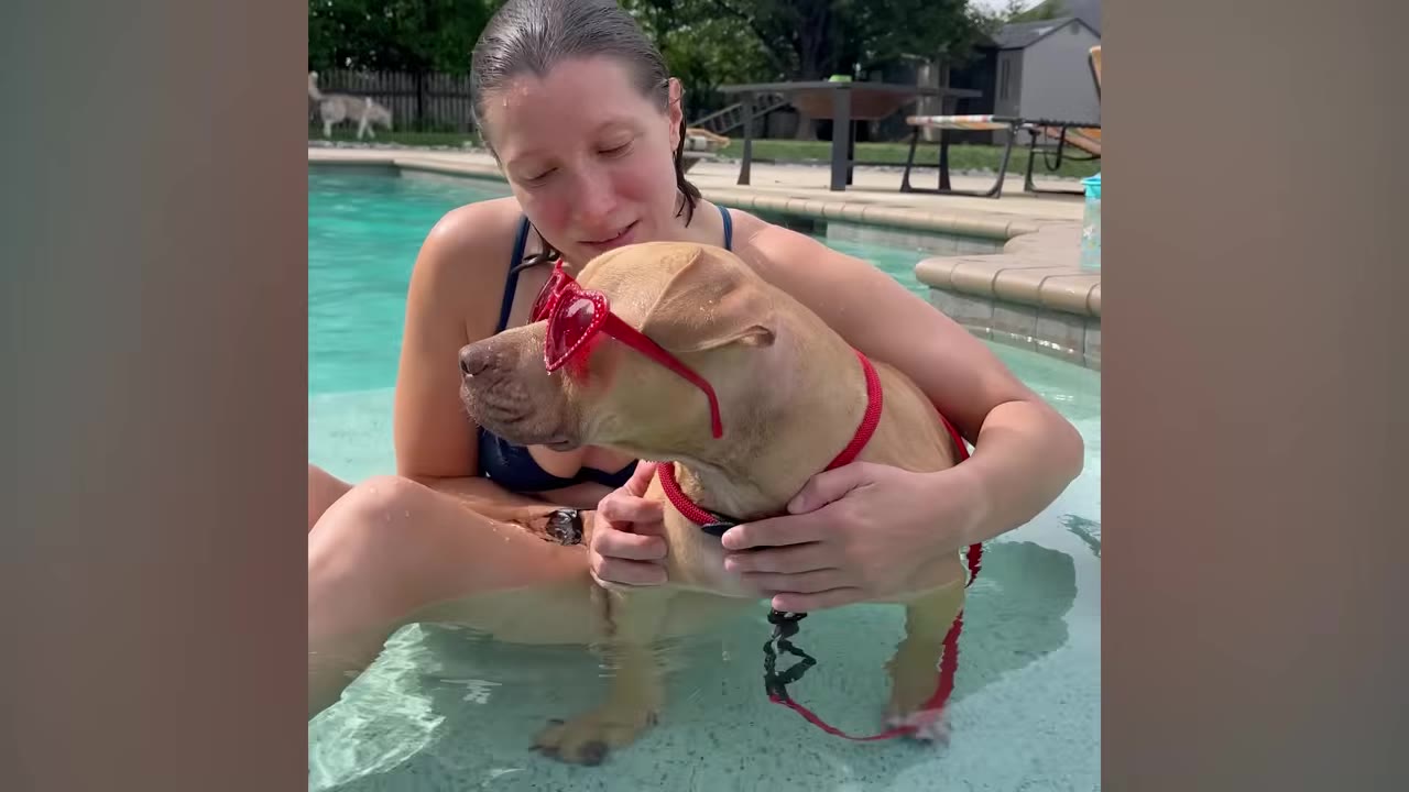 A woman in a swimming pool hugs a light brown dog wearing red heart-shaped sunglasses.
