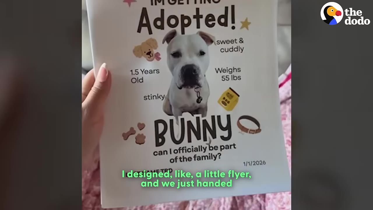 A hand holding a printed flyer that reads 'I'm Getting Adopted!' featuring a photo of a white dog named Bunny, with details like '1.5 Years Old' and 'Weighs 55 lbs'.