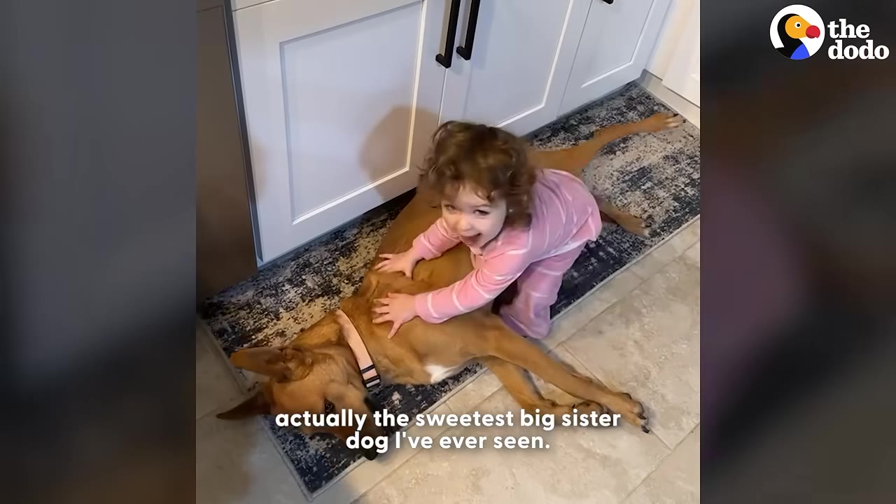 A young girl in pink pajamas smiles as she hugs a large brown dog lying on a rug in a kitchen.