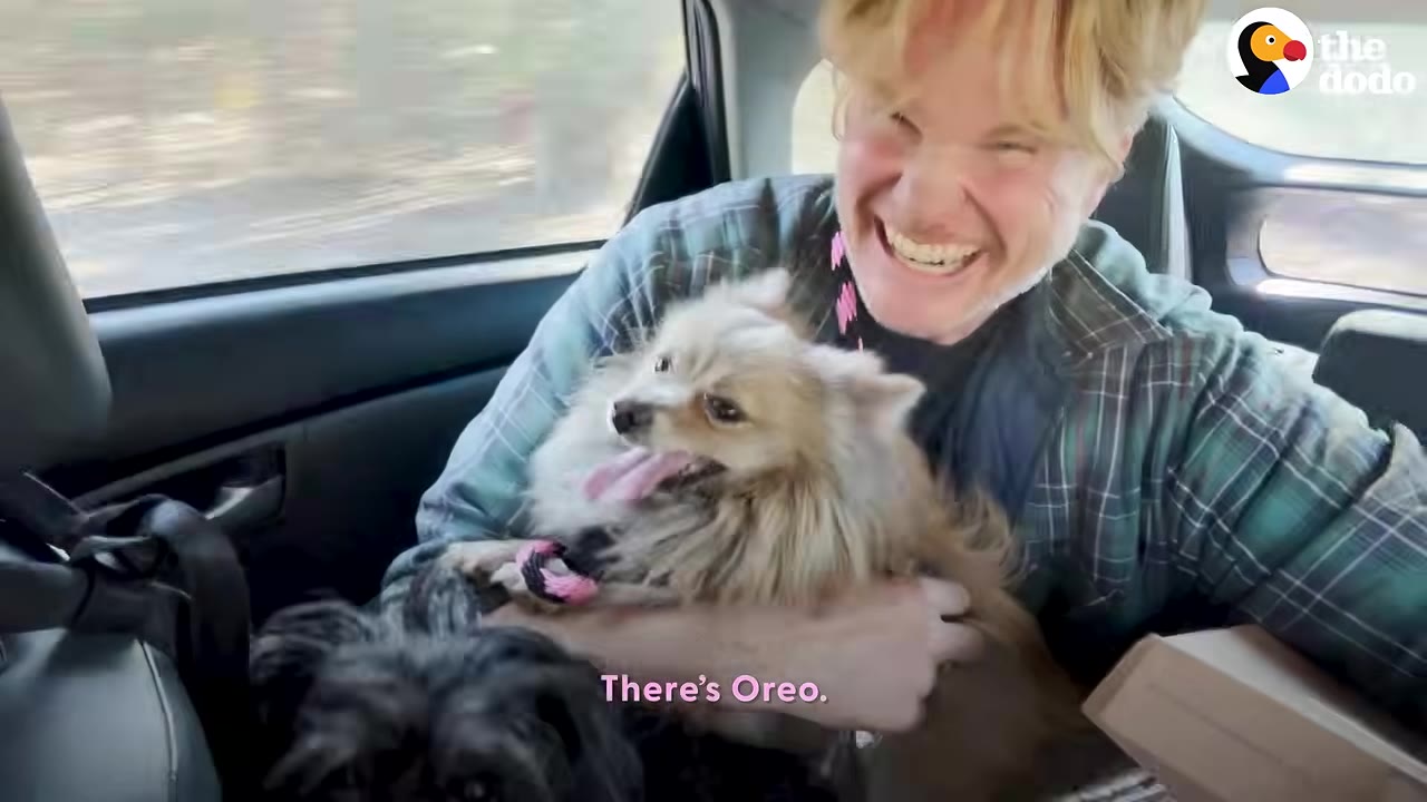 A person smiling broadly while holding a small fluffy dog in the backseat of a car.