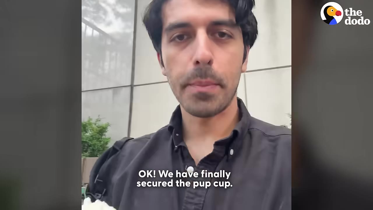 A man in a black shirt looks directly at the camera with a caption that reads, 'OK! We have finally secured the pup cup.'