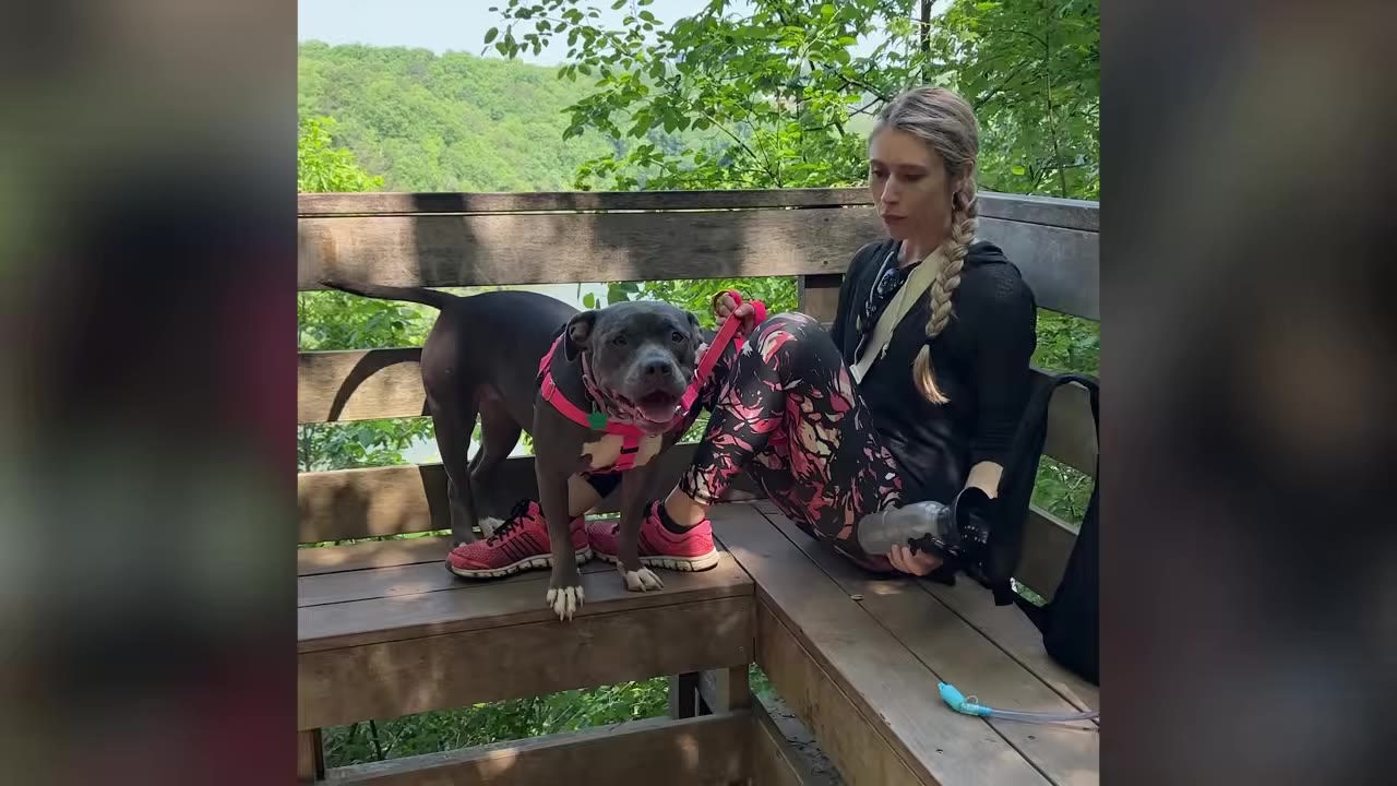 A woman with a blonde braid sitting on a wooden bench outdoors next to a gray pit bull in a pink harness.