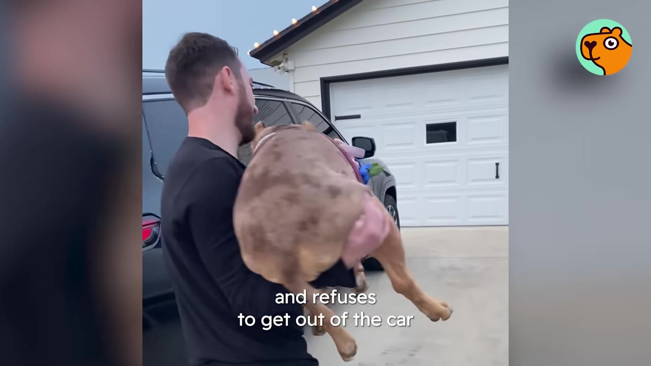 A man carries a large tan and brown spotted dog in his arms outside in front of a garage.