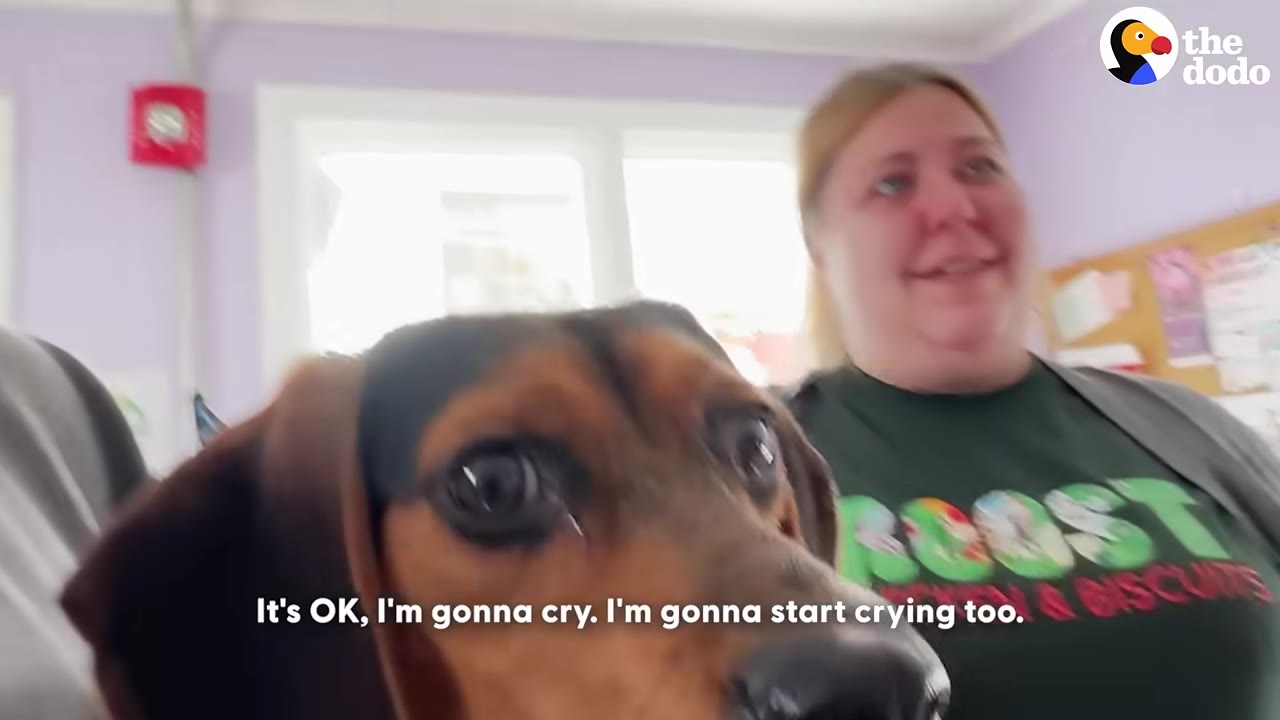 A close-up of a brown and black dog with a woman smiling warmly in the background, with a subtitle that reads, 'It's OK, I'm gonna cry. I'm gonna start crying too.'