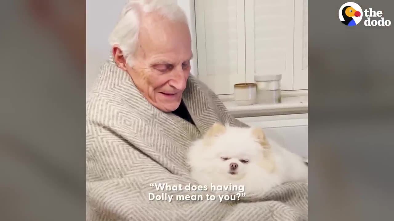 An elderly man with white hair wrapped in a grey patterned blanket smiles down at a small, fluffy white Pomeranian dog resting in his lap.