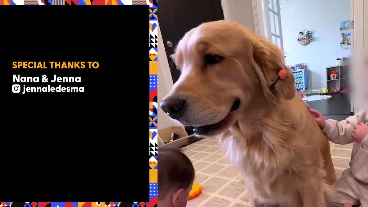 A golden retriever dog sitting gently on a rug in a play area near young children.