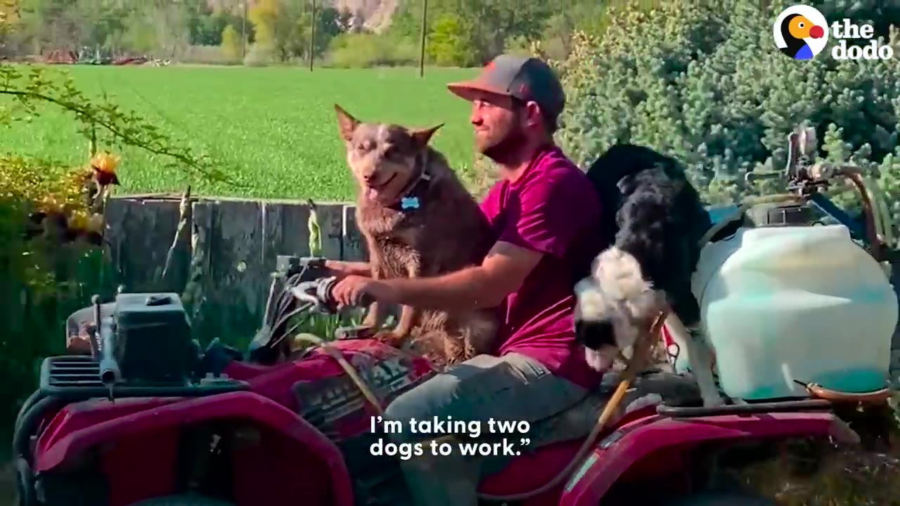 A man smiling on a red four-wheeler outdoors with two dogs riding along with him.