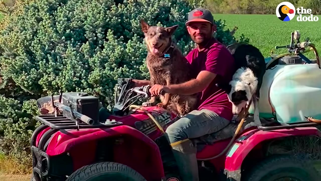 A man wearing a hat sits on a red ATV outdoors with two dogs perched on the vehicle with him.