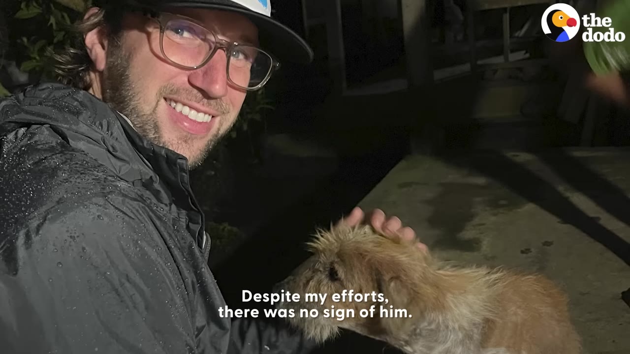 A man wearing glasses and a cap petting a small scruffy dog outdoors at night.