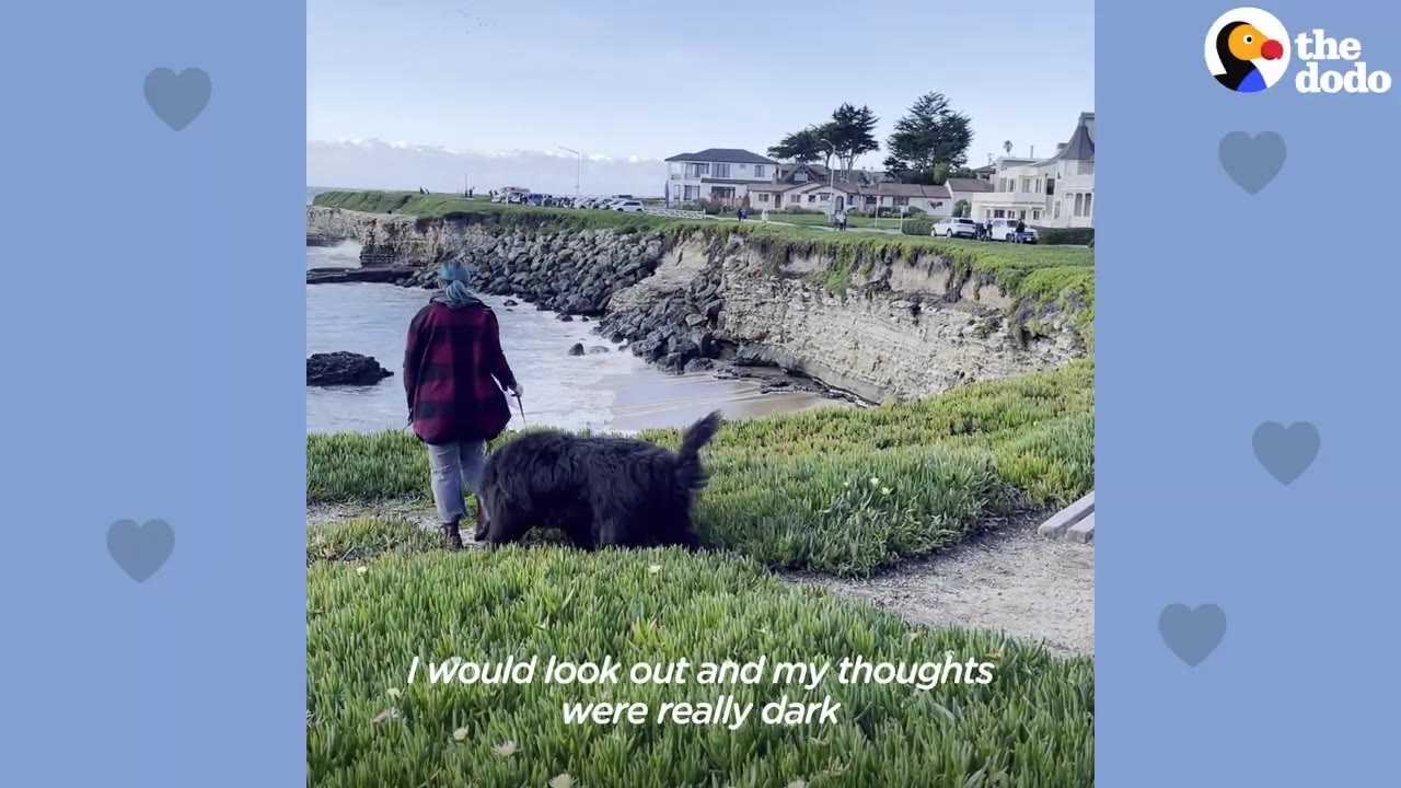 A person with blue hair and a red plaid jacket walks a large, fluffy black dog along a grassy cliffside path overlooking the ocean.