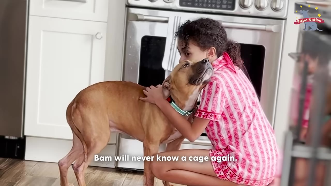 A young girl in pink and white patterned pajamas hugging a tan dog in a kitchen.