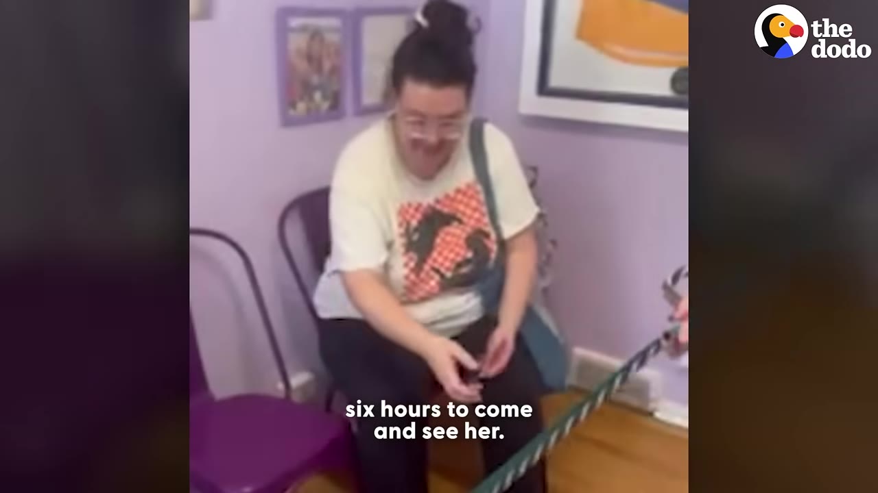A woman with glasses and her hair in a bun sits on a chair in a purple room, smiling as she looks down at a striped leash.