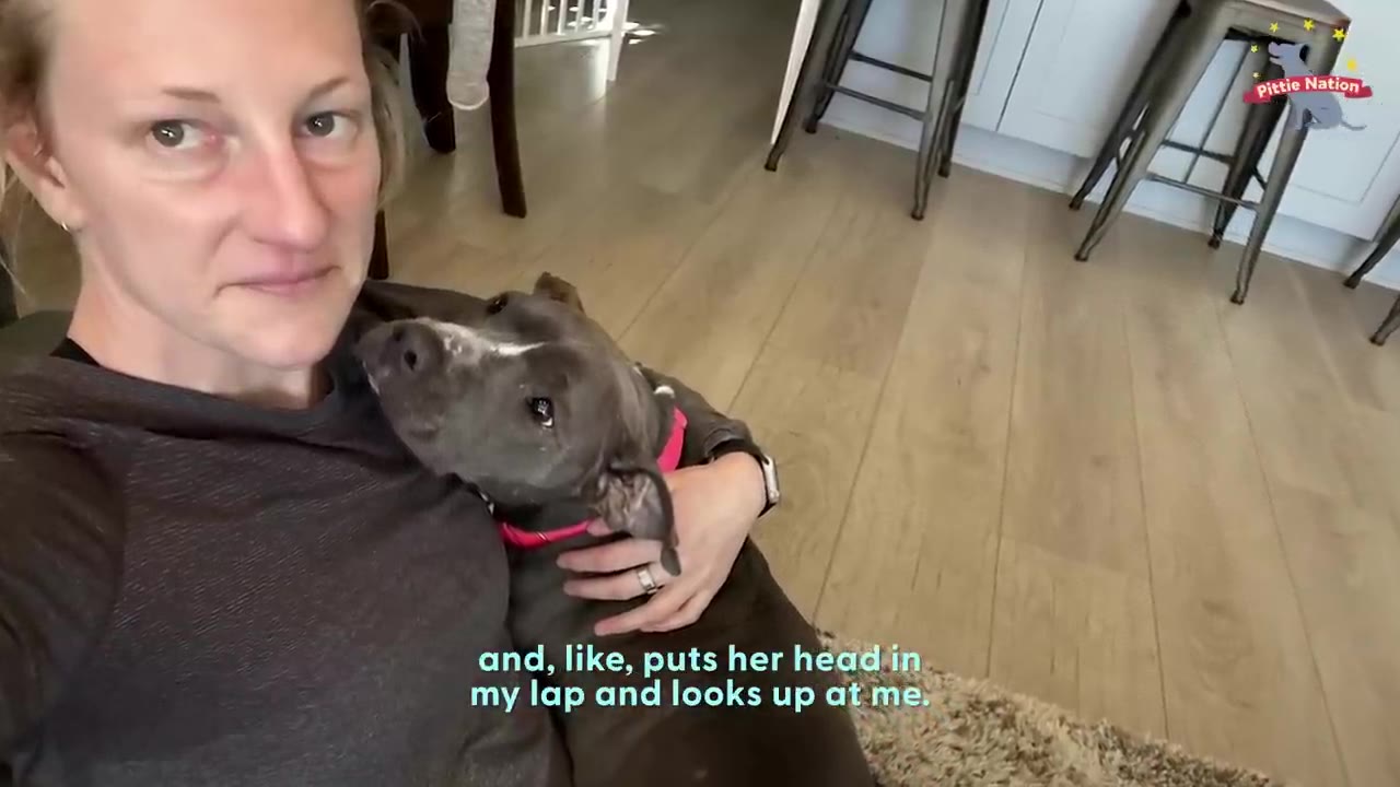 A gray dog rests its head comfortably in a woman's lap, looking up towards her.