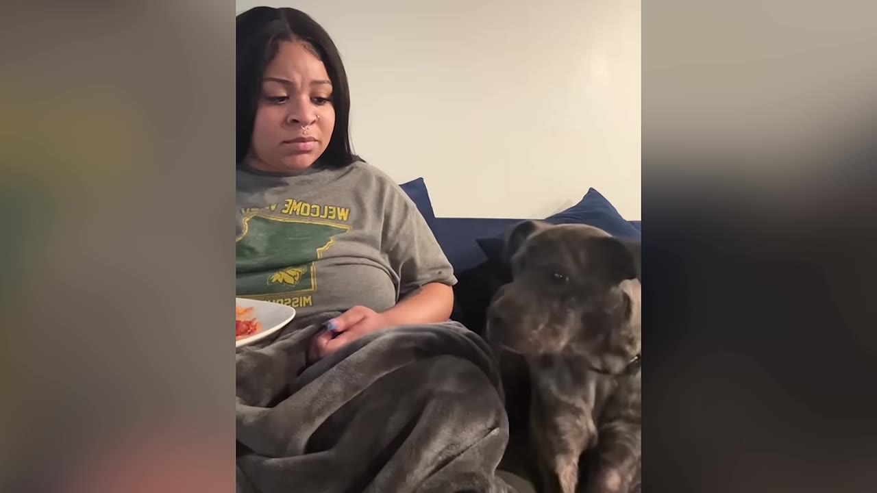 A brindle dog sits next to a woman holding a plate of food, looking up at her expectantly.
