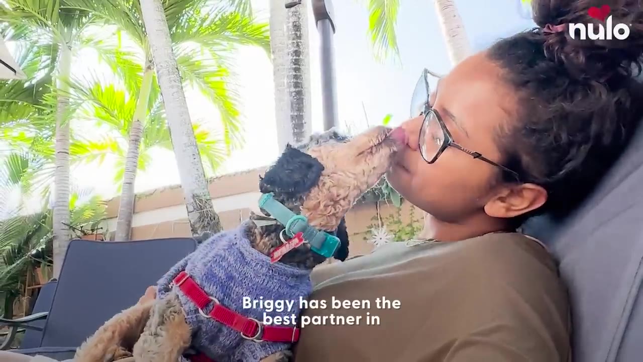 A small dog wearing a blue sweater and red harness licks the nose of a woman wearing glasses as she relaxes outdoors.