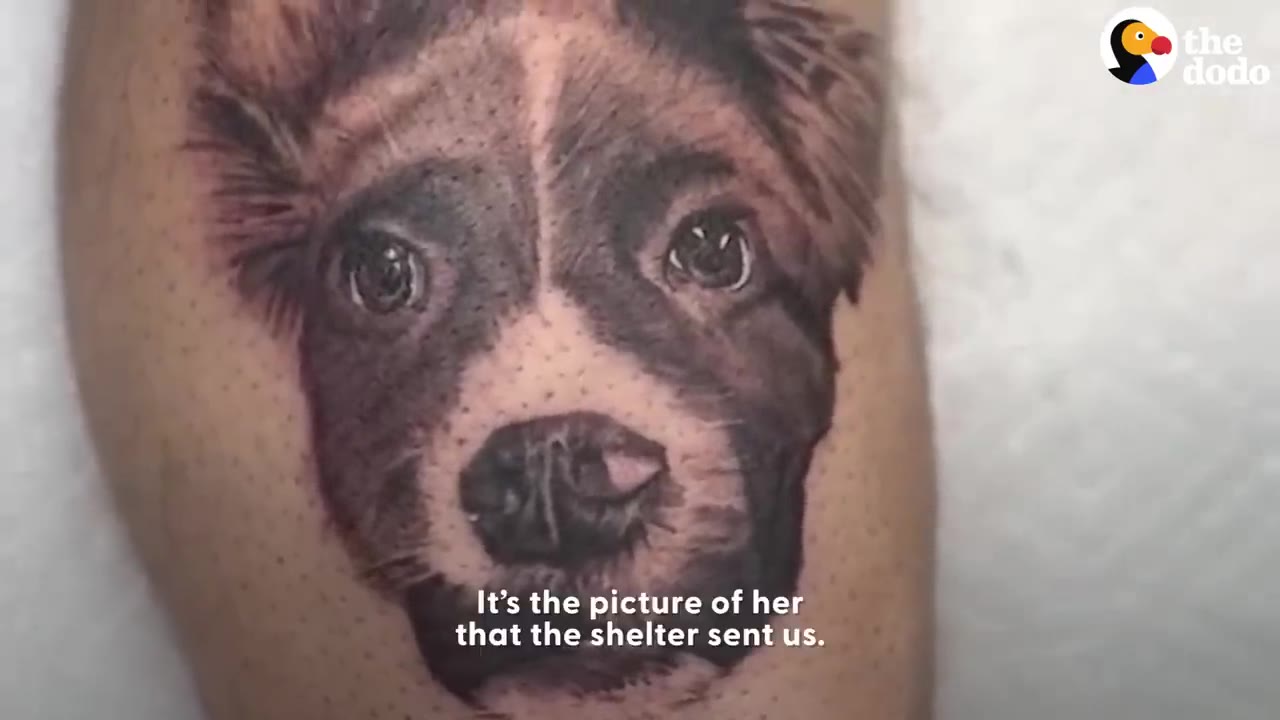 A detailed close-up shot of a tattoo on a person's skin depicting the realistic face of a dog.