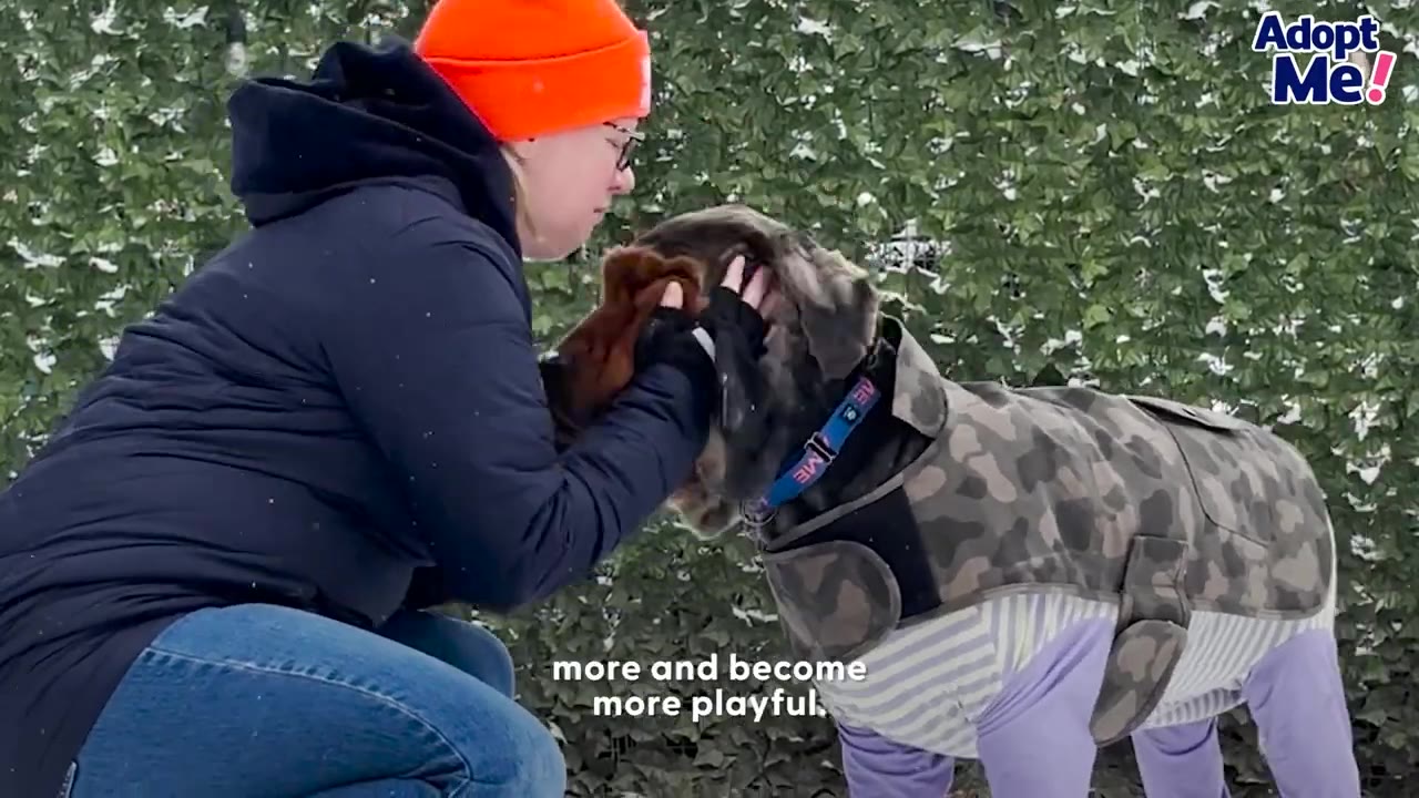 A woman wearing a black jacket and orange beanie gently holds the head of a dog wearing a camo coat outdoors.