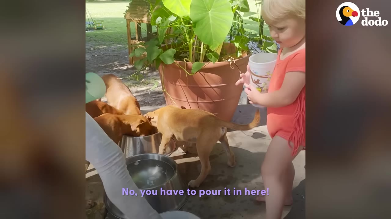 A toddler in a pink outfit holding a cup while standing next to small brown puppies eating from metal bowls.