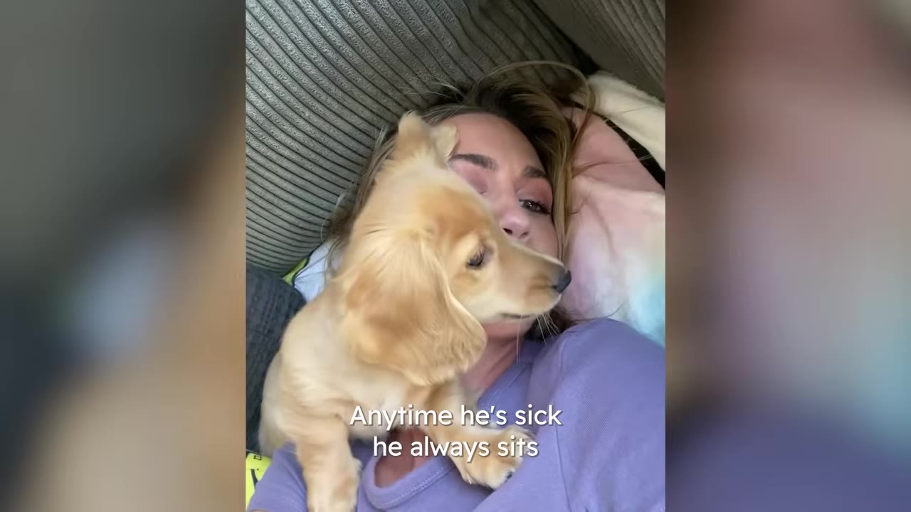 A small blonde dachshund puppy sits on the chest of a woman who is lying down.