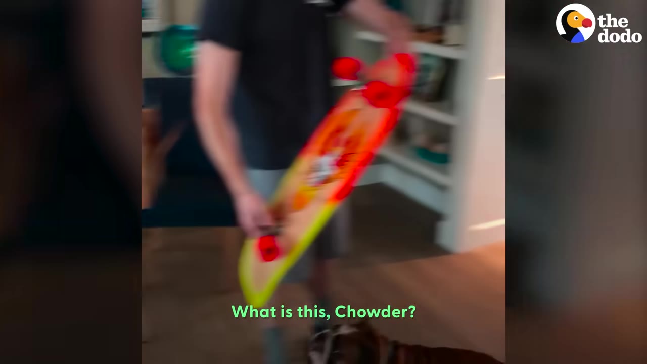 A man holds up a colorful new skateboard to show a bulldog inside a home.
