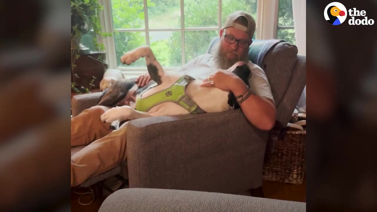 A man wearing a hat and glasses sits in an armchair, petting a dog lying relaxed on its back across his lap.