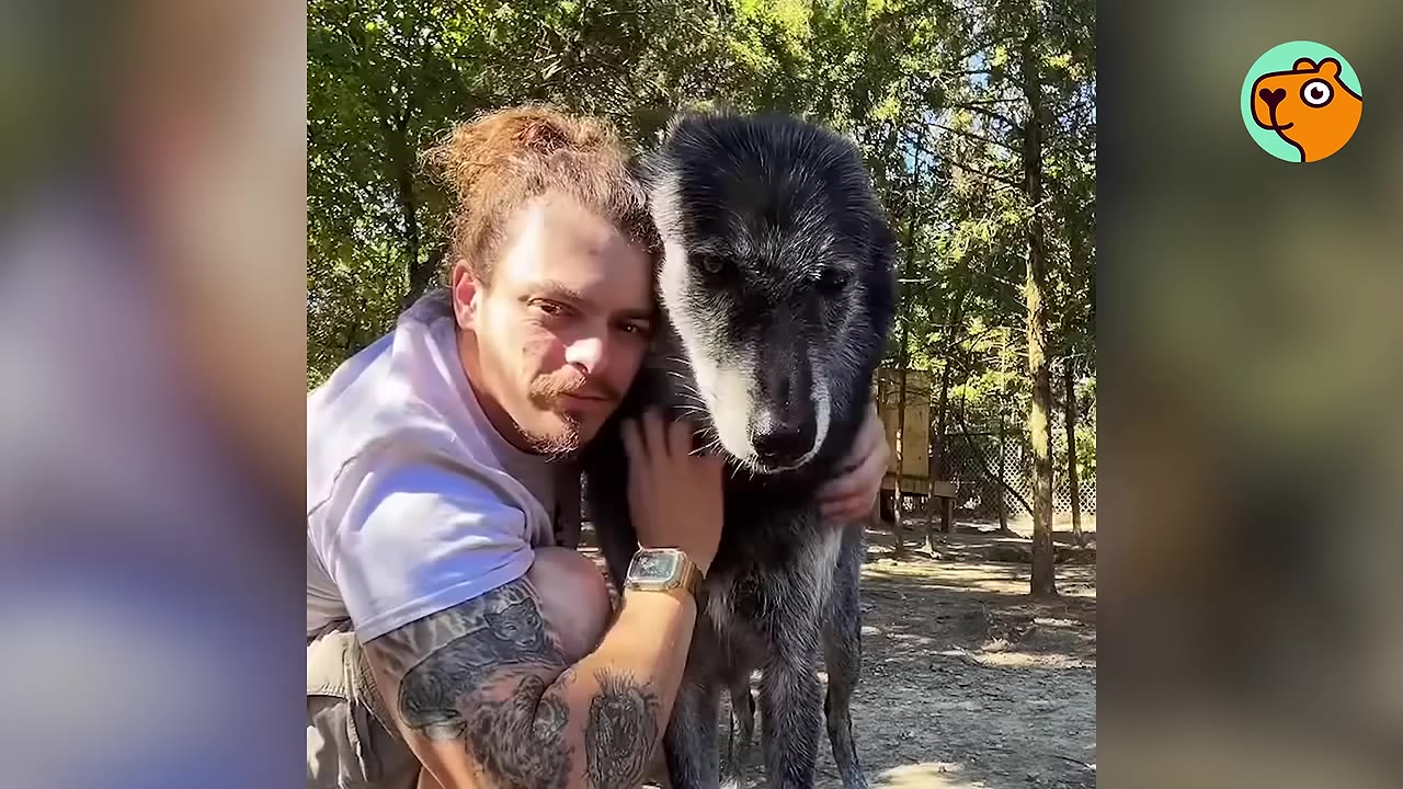 A man with a bun and tattooed arms crouching outdoors while resting his head affectionately against a black and grey wolfdog.
