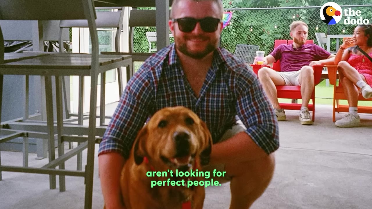 A smiling man in sunglasses and a plaid shirt crouches next to a happy brown dog on an outdoor patio.