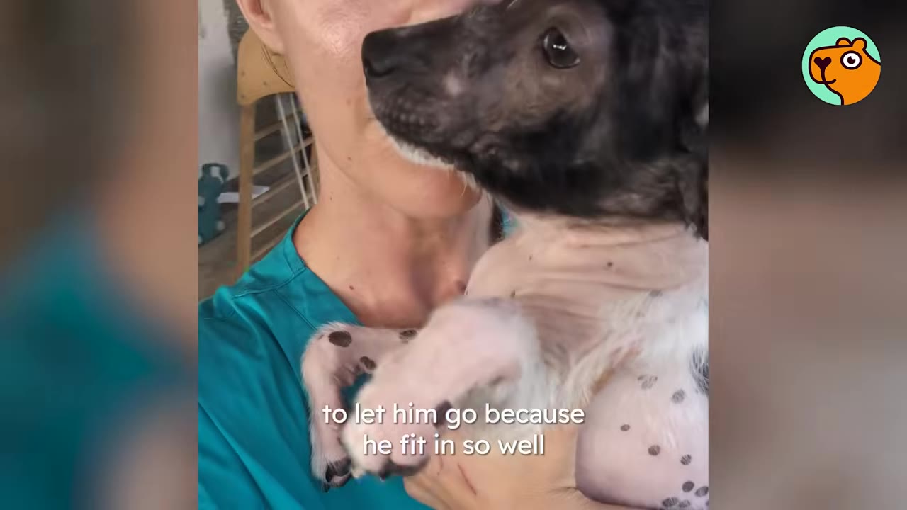 A woman holding a small puppy with dark patches close to her face.