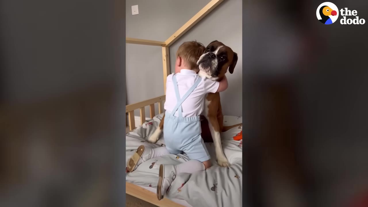 A young boy wearing light blue overalls kneeling on a bed and hugging a Boxer dog, who looks directly at the camera.