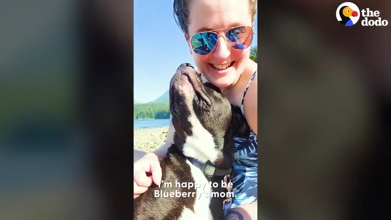 A smiling woman wearing sunglasses hugs a black and white dog outdoors near a body of water.