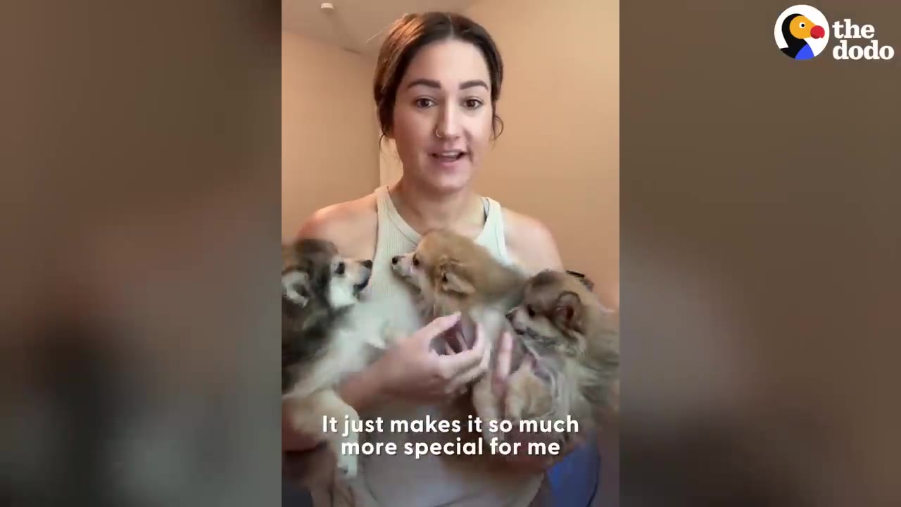 A woman holding three small fluffy dogs in her arms together.