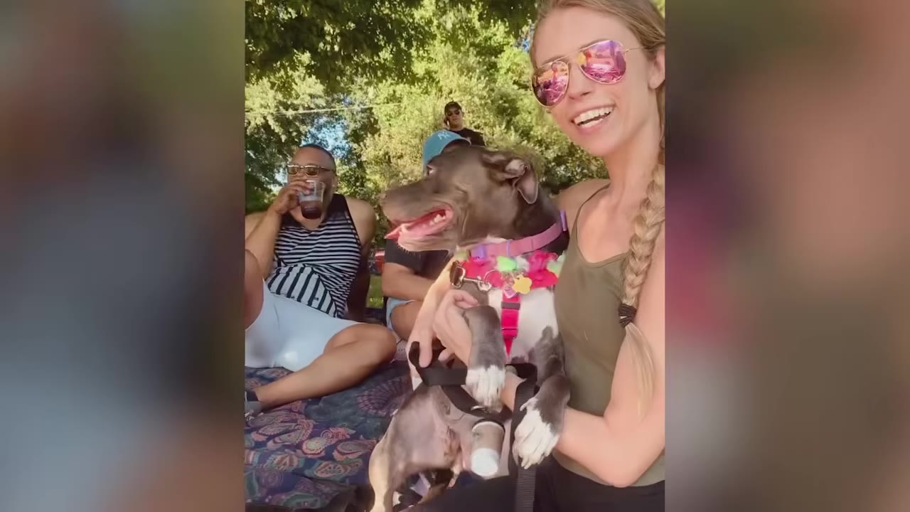 A woman wearing sunglasses smiling while holding her grey dog in a park setting.