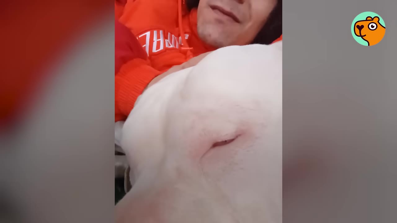 A person wearing an orange sweatshirt cuddling closely with a white dog resting its head.