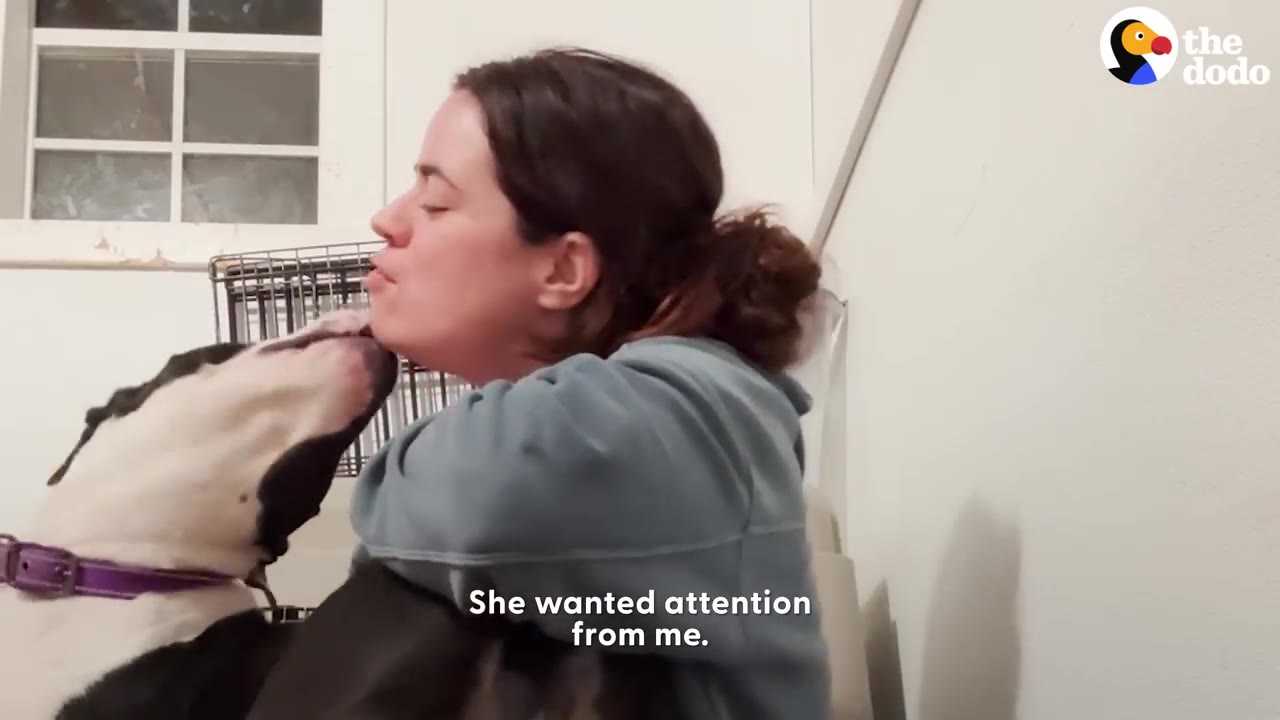 A woman leaning in close as a black-and-white dog nuzzles her chin in a foster room.
