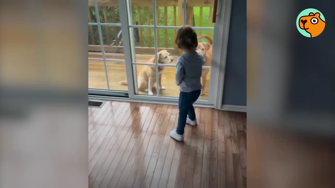 A young toddler stands inside near a glass sliding door looking at two dogs waiting on the outdoor wooden deck.